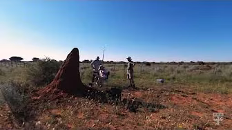 Termite mounds in Namibia inspire energy-efficient buildings