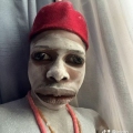 festus