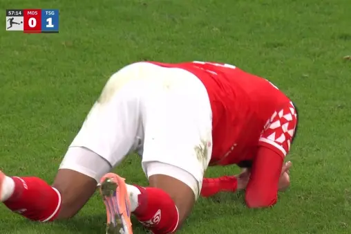 Mainz 05 VS 1899 Hoffenheim Highlight