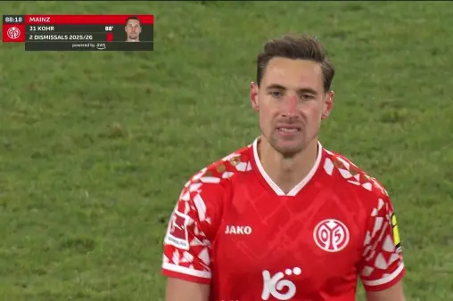 Mainz 05 VS 1899 Hoffenheim Highlight