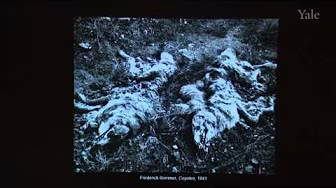 Defending the Land, Reinventing the Landscape