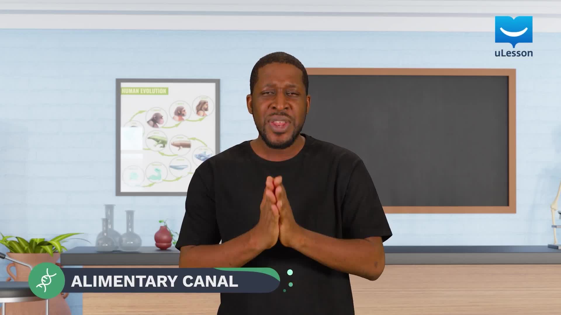 Conservation Agencies