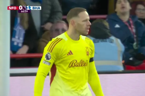 Nottingham Forest VS Brighton & Hove Albion Highlight