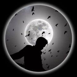 author avatar