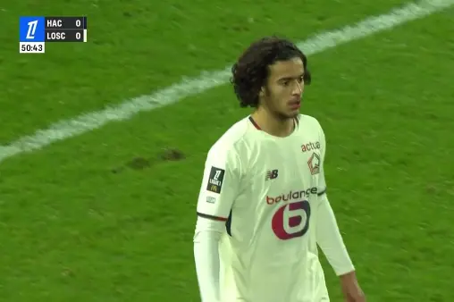 Le Havre VS Lille Highlight