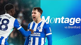 MONTAGE | Hinshelwood's Heroic Return As Bart Prevents Late Bee Sting