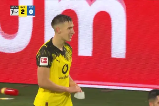 Dortmund VS Hoffenheim Highlight