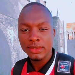 author avatar