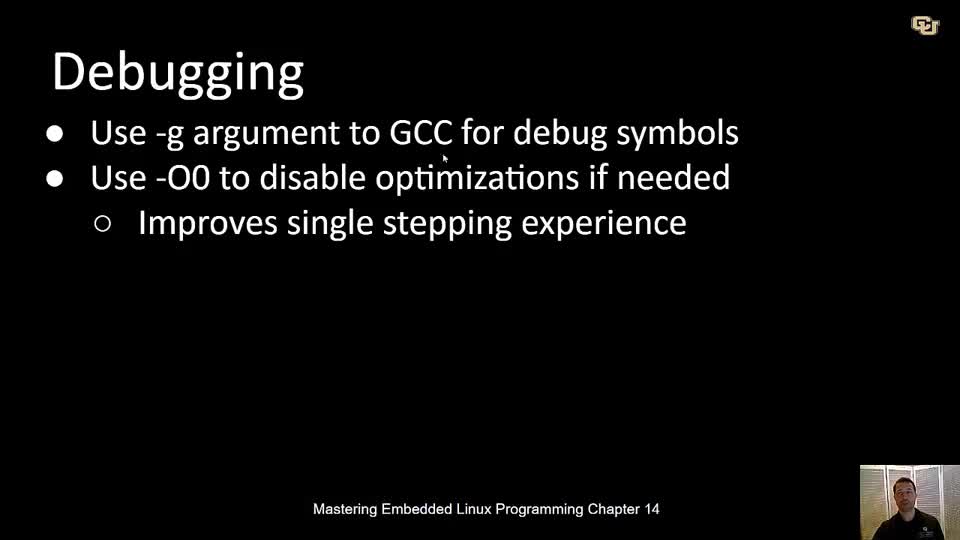 Embedded Debug Strategies