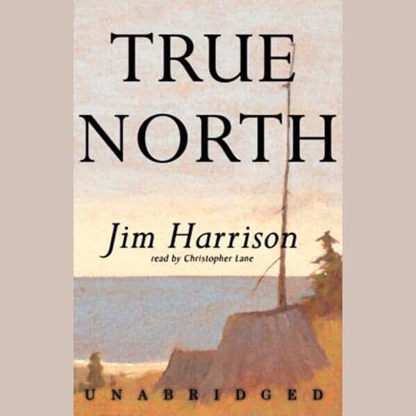 True North