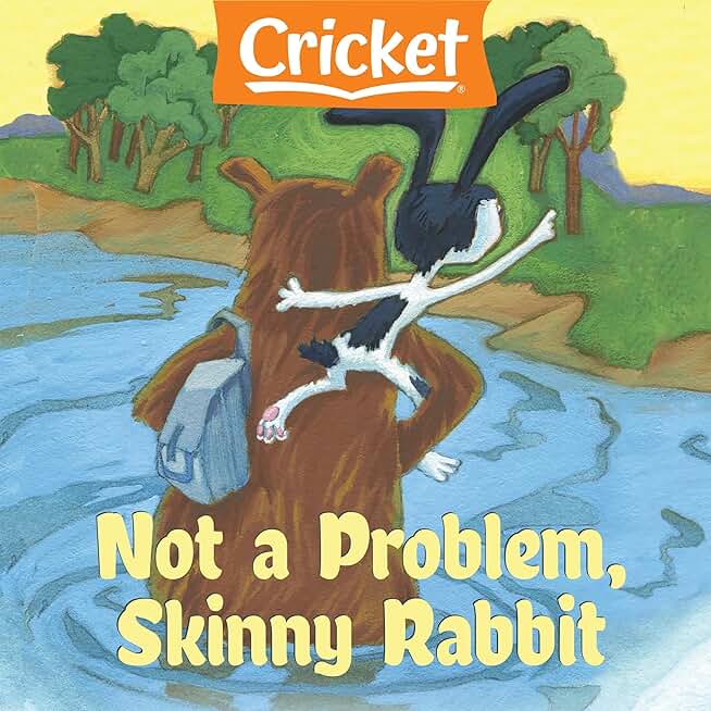 Not a Problem, Skinny Rabbit