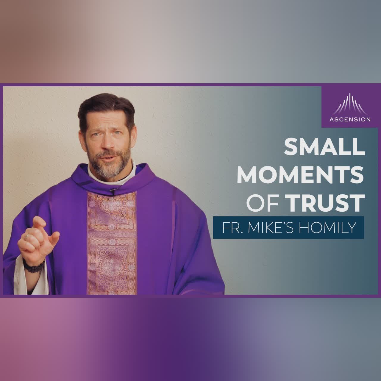 "All In" | Assumption of the Blessed Virgin Mary (Fr. Mike's Homily) #sundayhomily