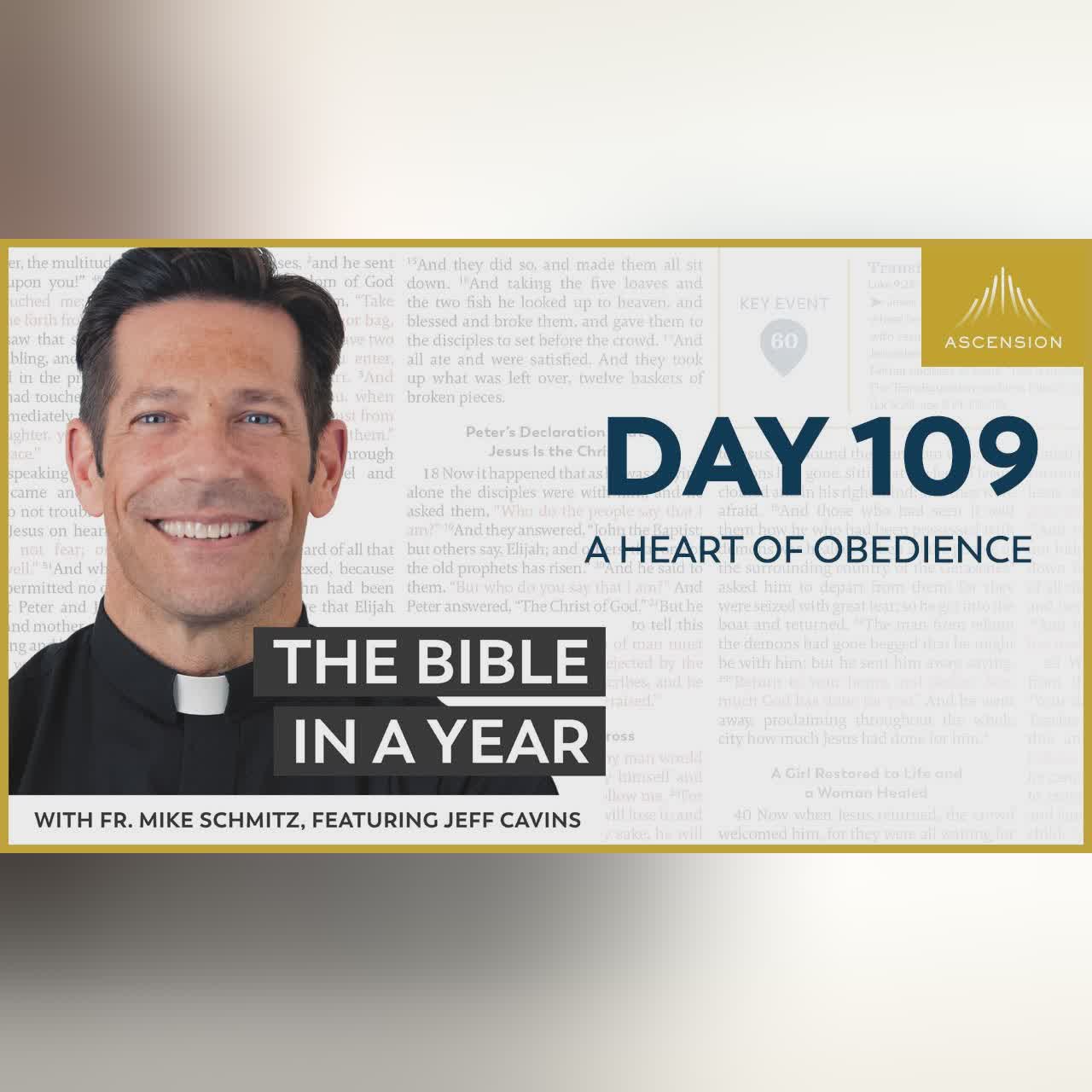 Day 85: Fighting for Each Other — The Bible in a Year (with Fr. Mike Schmitz)
