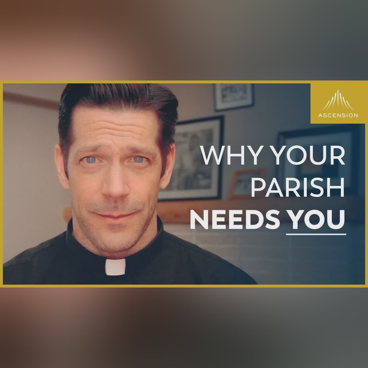 How Being a Christian Will Affect Your Life (w/ Fr. Mike Schmitz)
