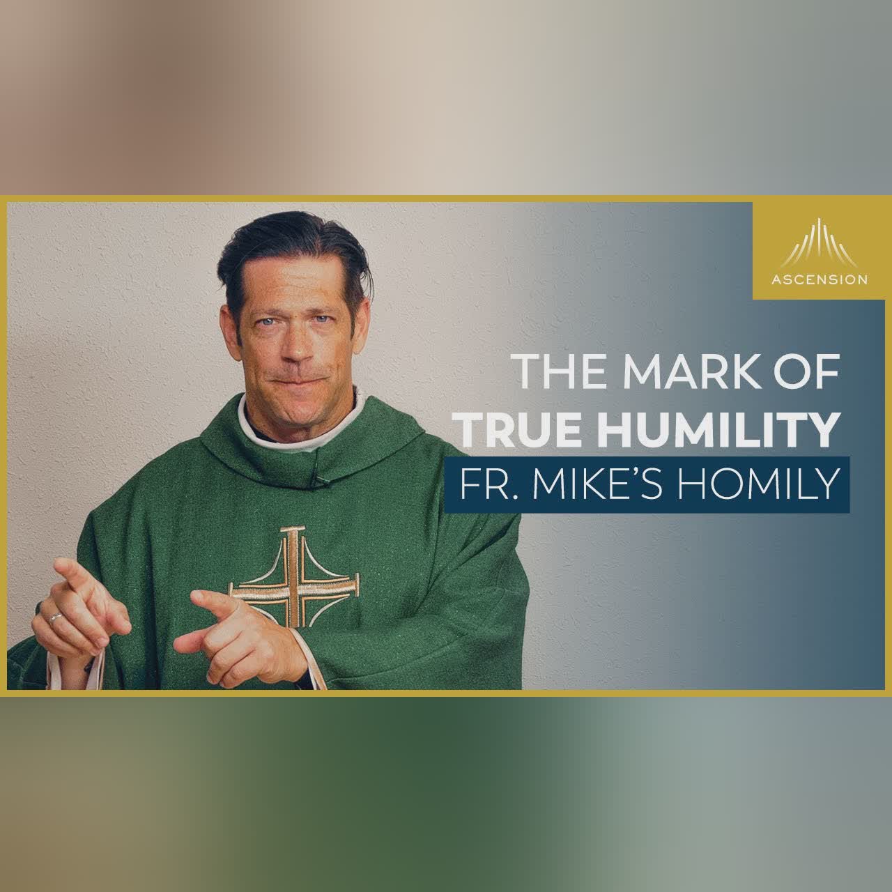 "The Word of God" | 28th Sunday in Ordinary Time (Fr. Mike's Homily) #sundayhomily