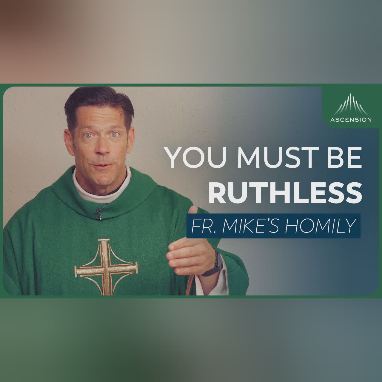 "Borrowed Time" | 15th Sunday in Ordinary Time (Fr. Mike's Homily) #sundayhomily