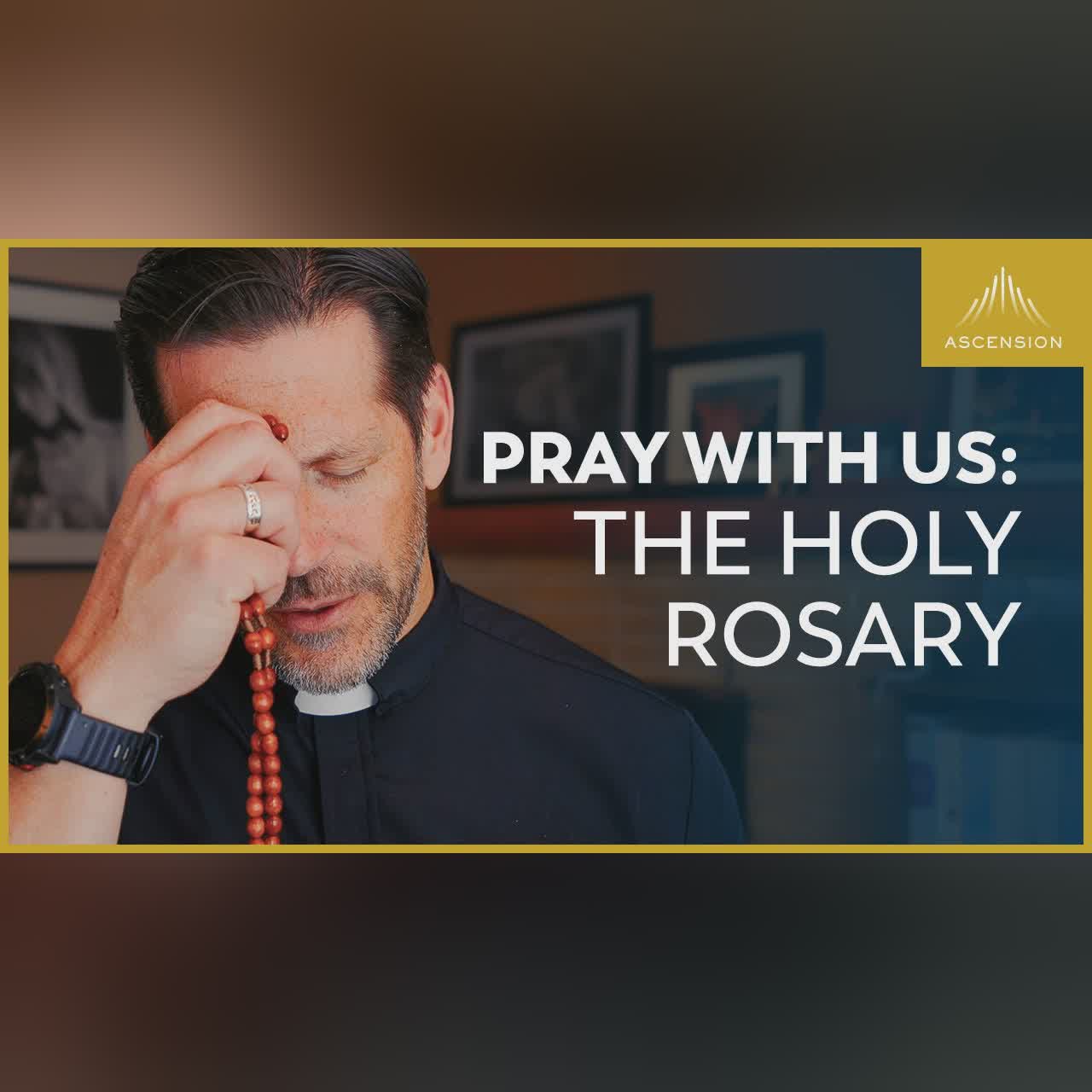Why We Keep Forgetting What We Believe as Catholics (Foundations of Faith Preview)