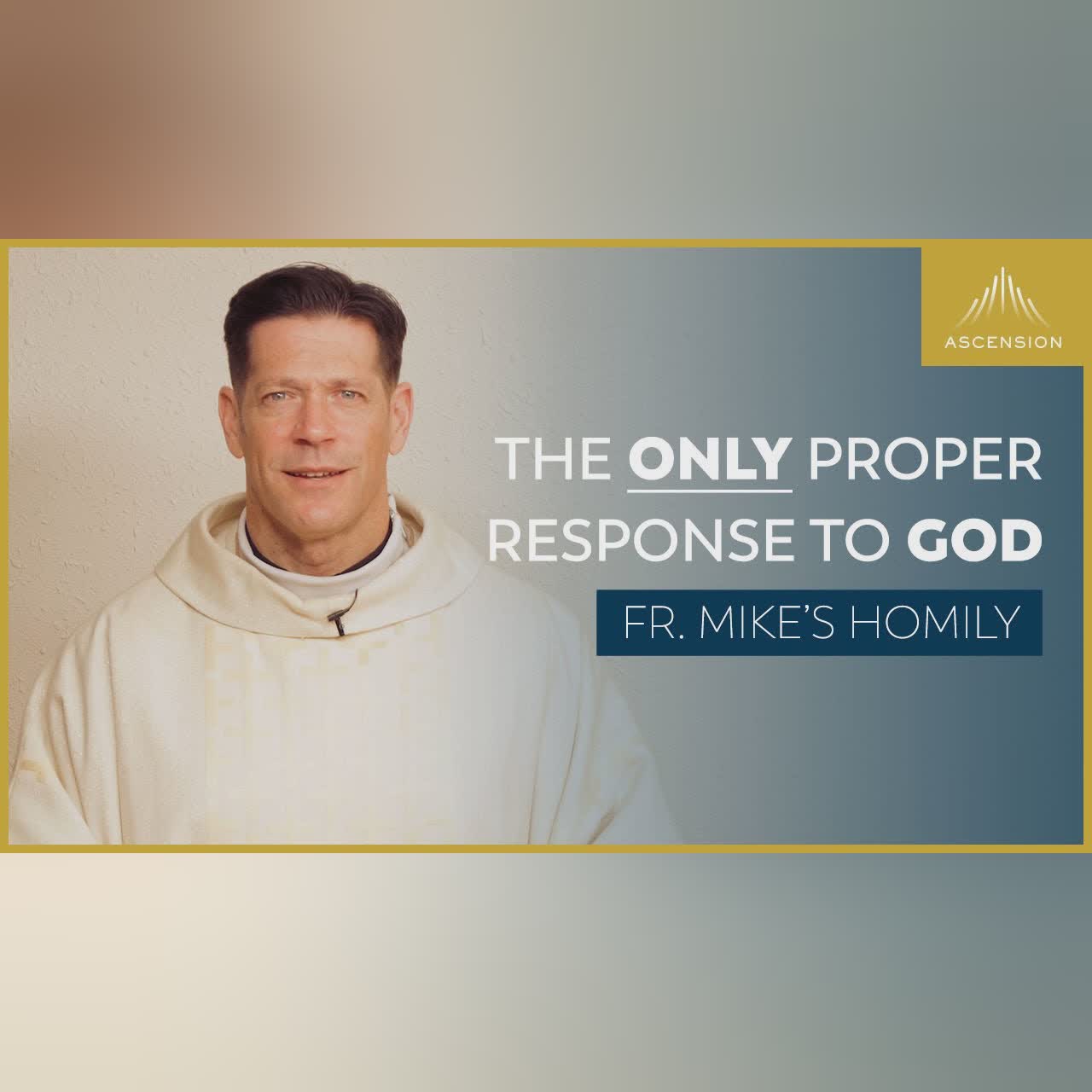 "Moments of Consequence" | 29th Sunday in Ordinary Time (Fr. Mike's Homily) #sundayhomily