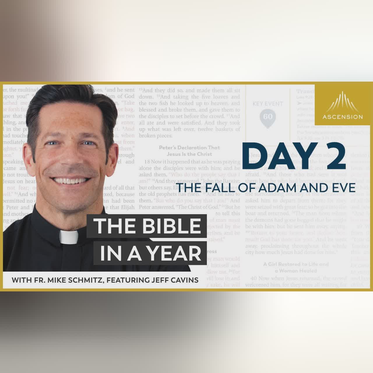 Day 17: Jacob Meets Esau — The Bible in a Year (with Fr. Mike Schmitz)