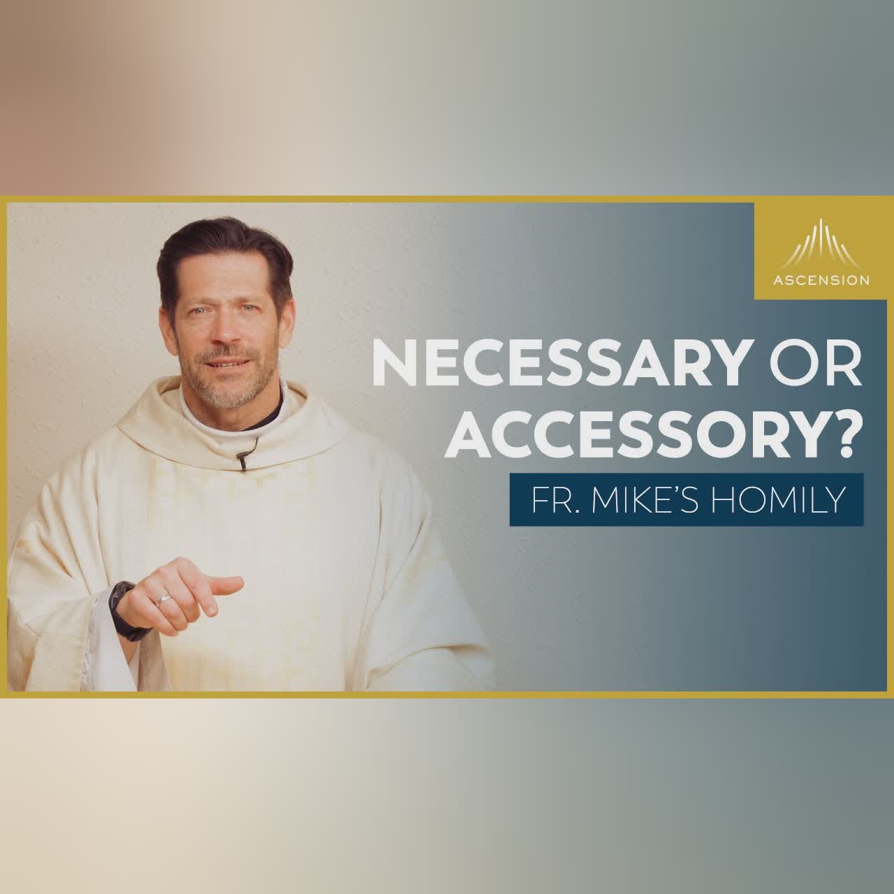 "The Reason Why" | 16th Sunday in Ordinary Time (Fr. Mike's Homily) #sundayhomily