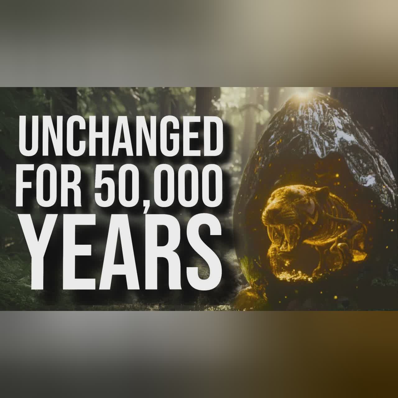 The Strangest Things Ever Found in Tar