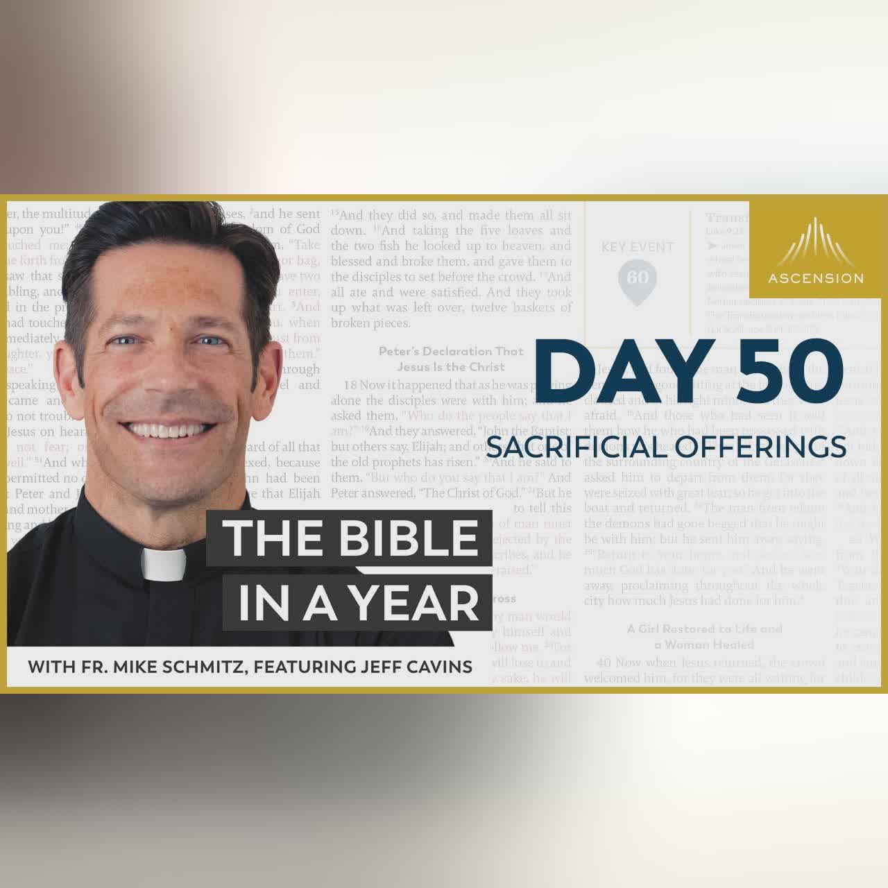 Day 54: The Tribe of Levi — The Bible in a Year (with Fr. Mike Schmitz)