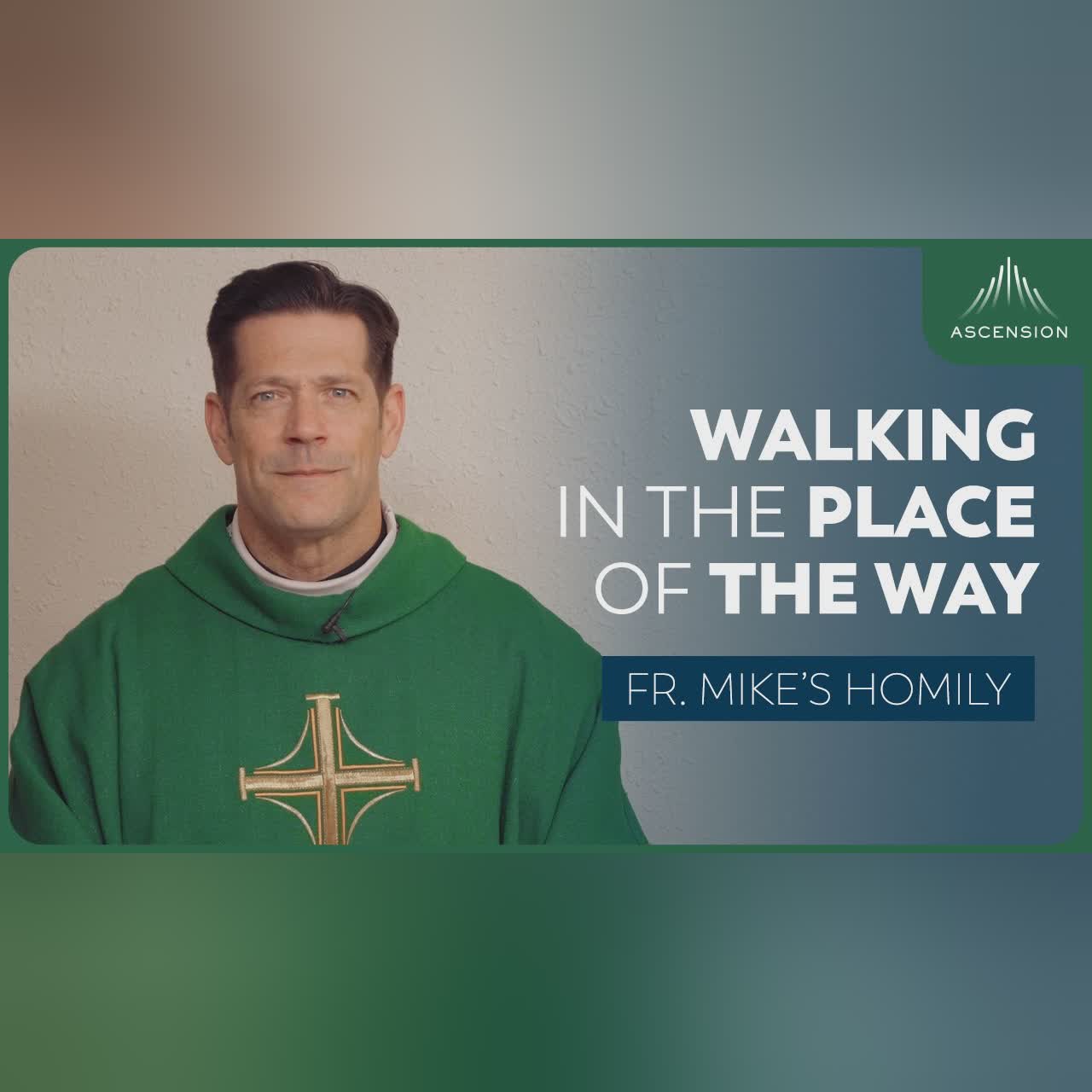 "His Moments" | 6th Sunday in Ordinary Time (Fr. Mike's Homily) #sundayhomily