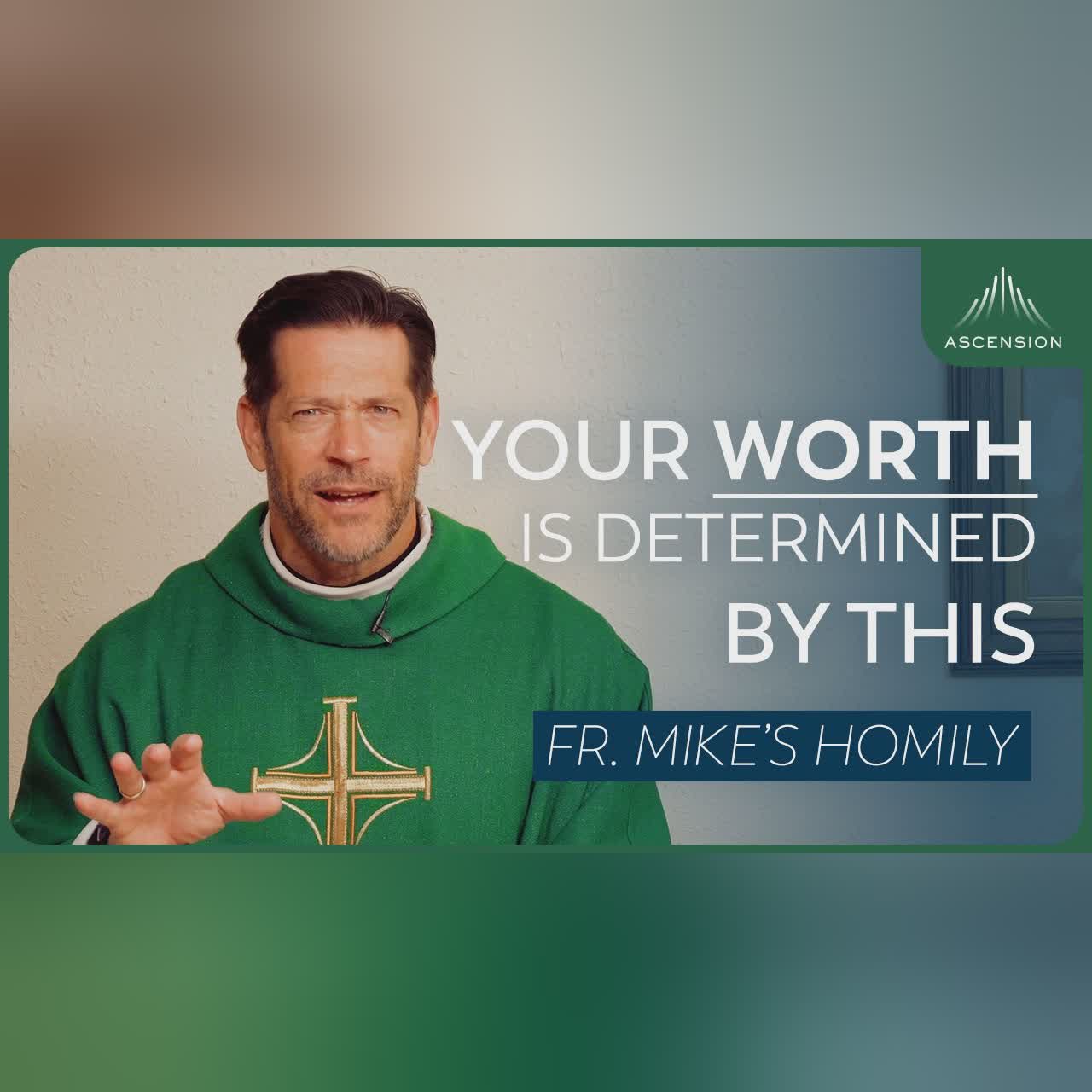 "True Surrender" | 12th Sunday in Ordinary Time (Fr. Mike's Homily) #sundayhomily