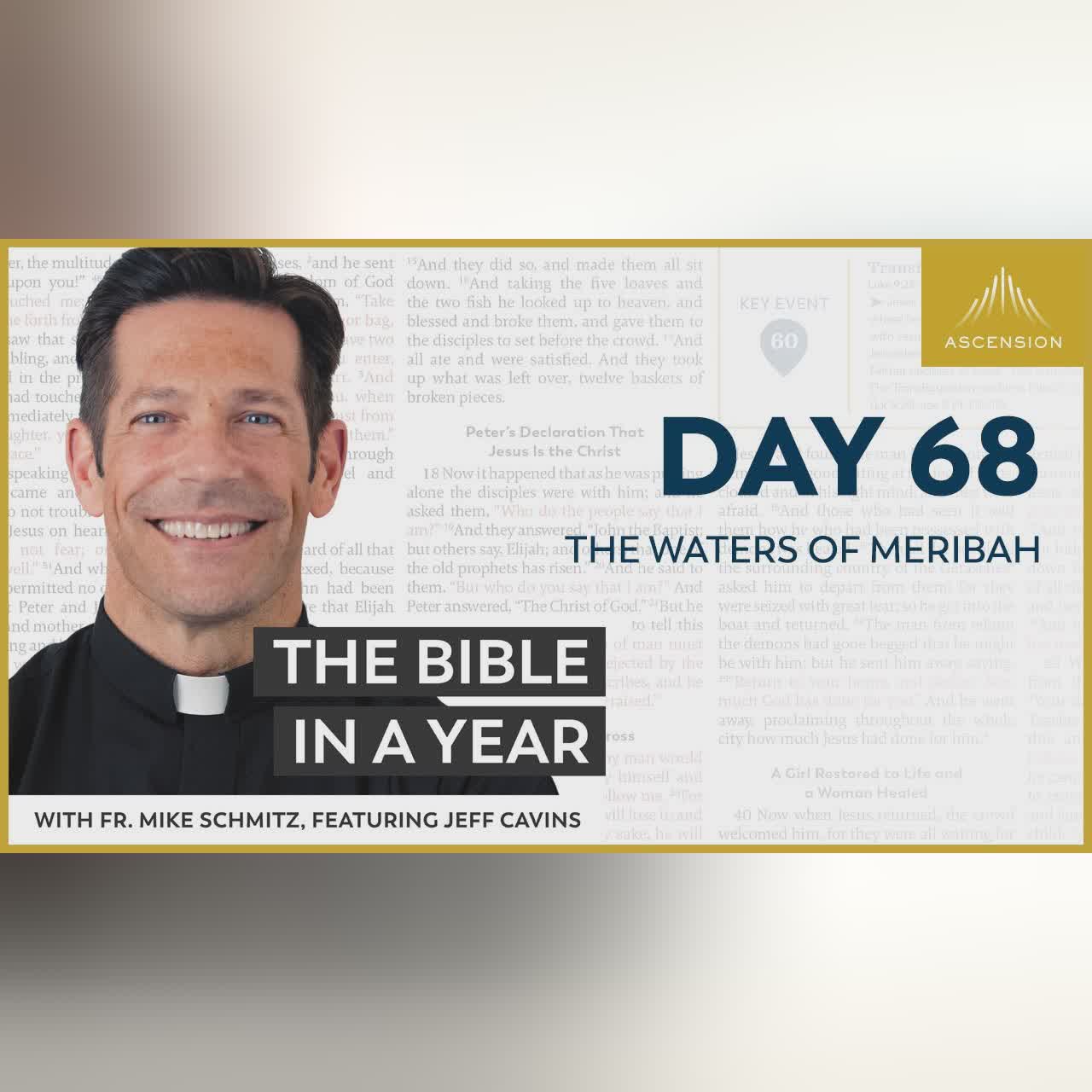 Day 81: Israel Crosses the Jordan — The Bible in a Year (with Fr. Mike Schmitz)