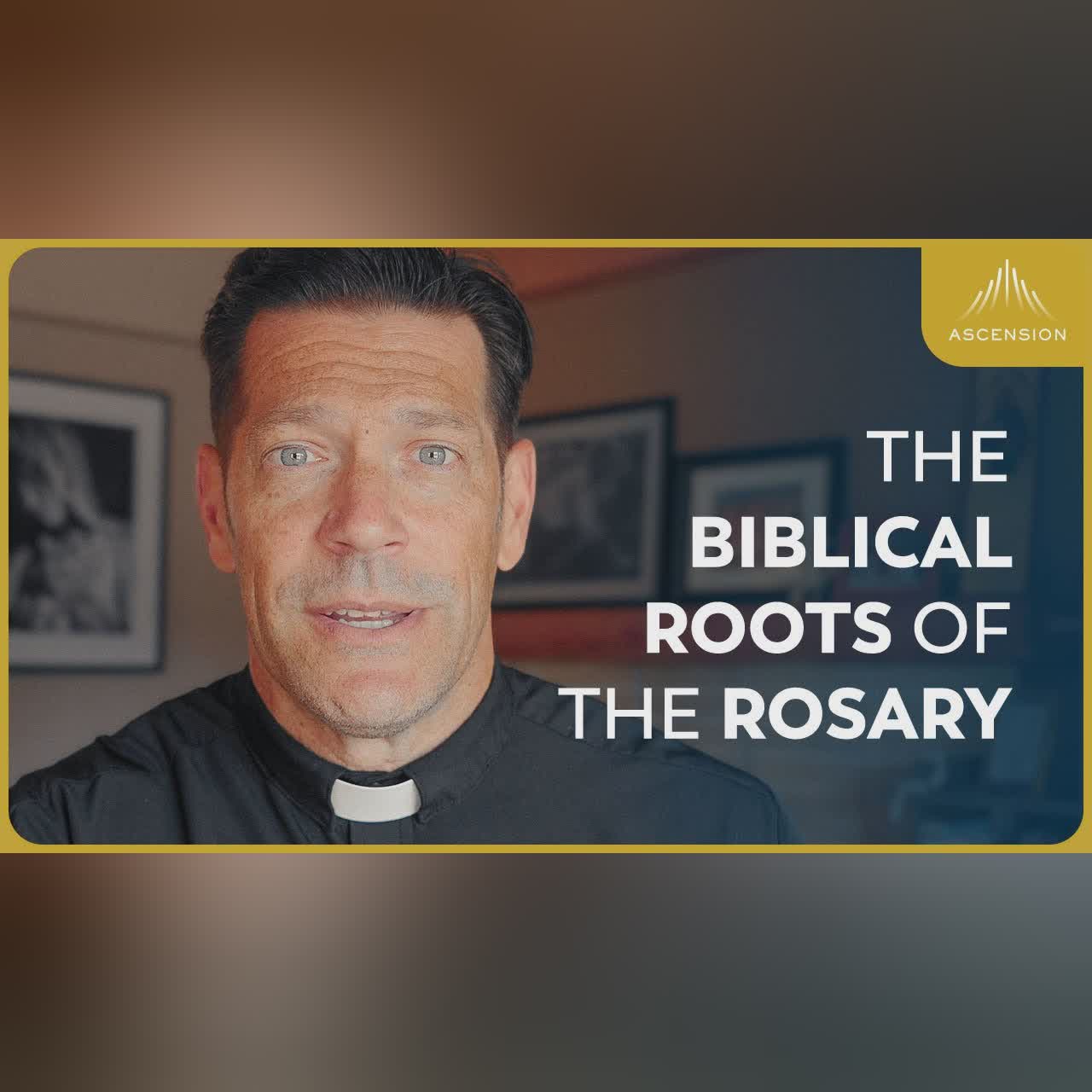 "Holy" Does Not Mean "Perfect" (with Sr. Miriam James, SOLT)