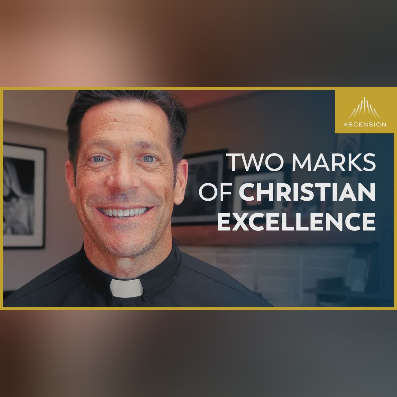 Addressing the FAKE Videos of Me (w/ Fr. Mike Schmitz)