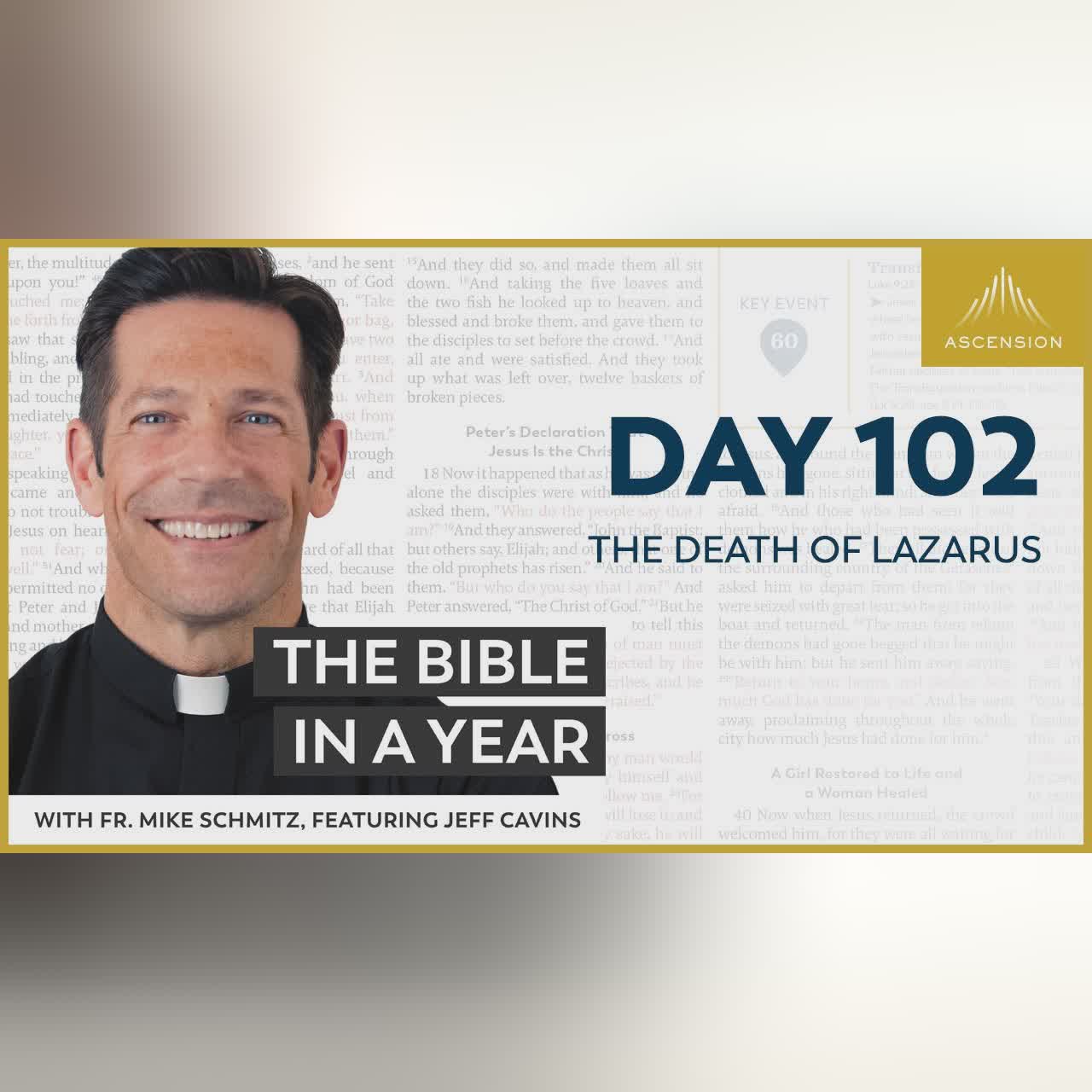 Day 111: Saul Tries to Kill David — The Bible in a Year (with Fr. Mike Schmitz)