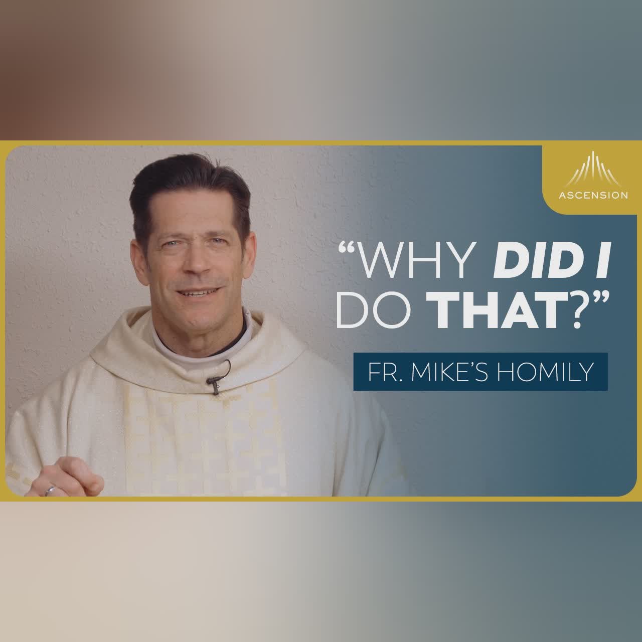 "The New Eve" | Solemnity of the Immaculate Conception (Fr. Mike's Homily) #sundaymass