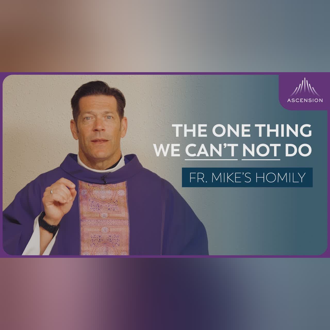 "Nunc Coepi: Begin Again" | 6th Sunday of Easter (Fr. Mike's Homily) #sundayhomily