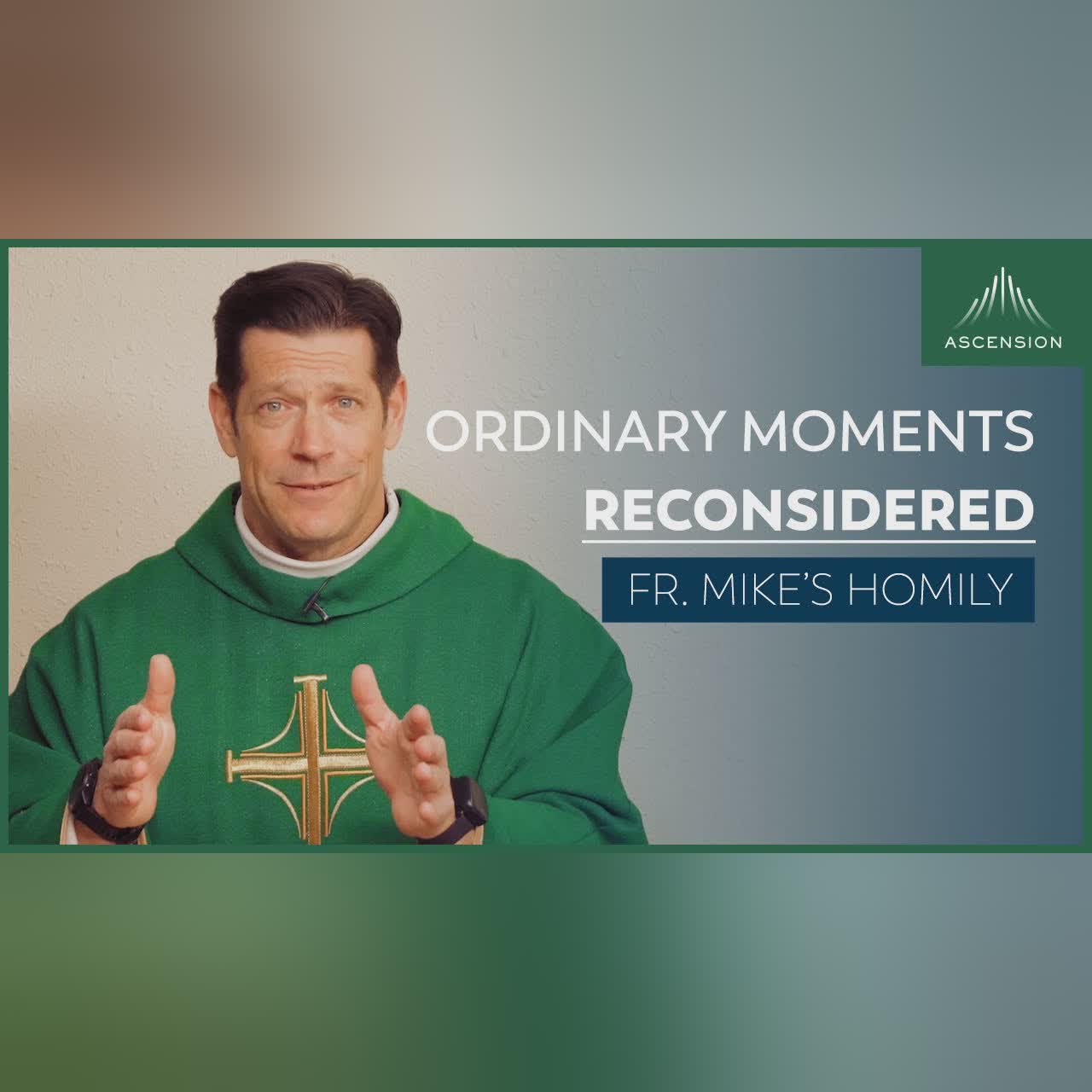 "Inheritance" | 27th Sunday in Ordinary Time (Fr. Mike's Homily) #sundayhomily