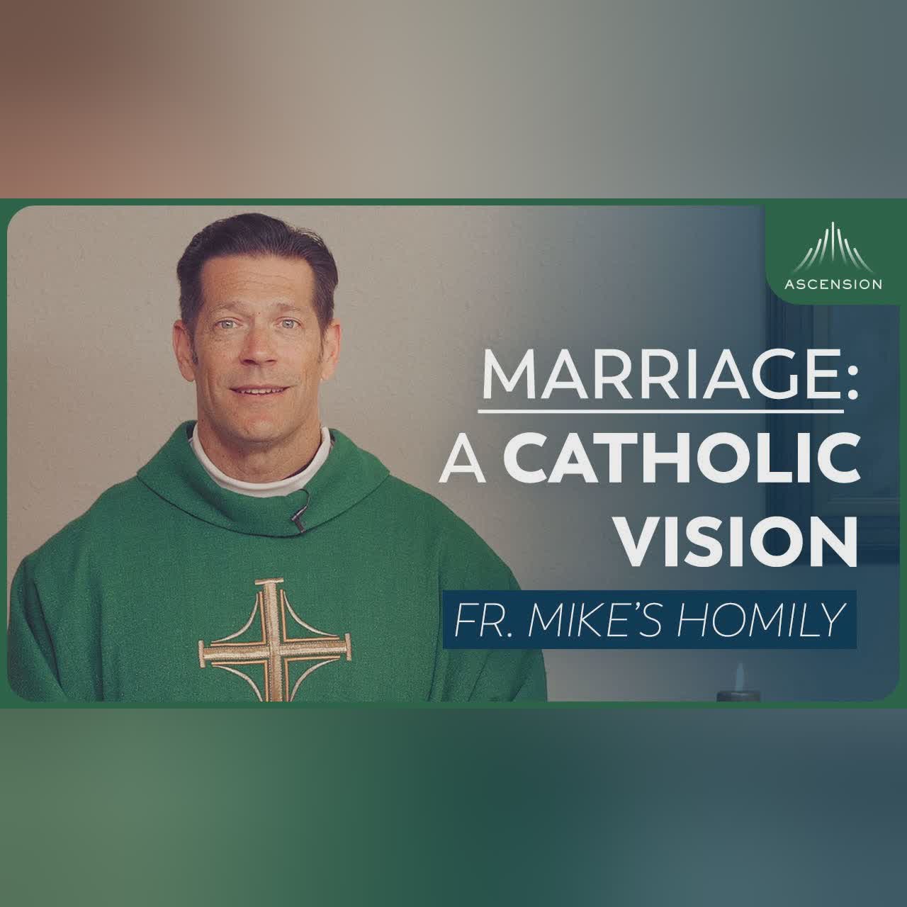 "A Thorn in the Side" | 14th Sunday in Ordinary Time (Fr. Mike's Homily) #sundayhomily