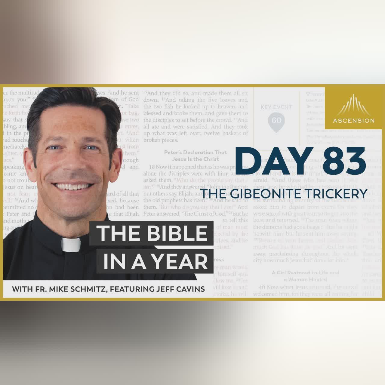 Day 79: Psalms of Ascent — The Bible in a Year (with Fr. Mike Schmitz)