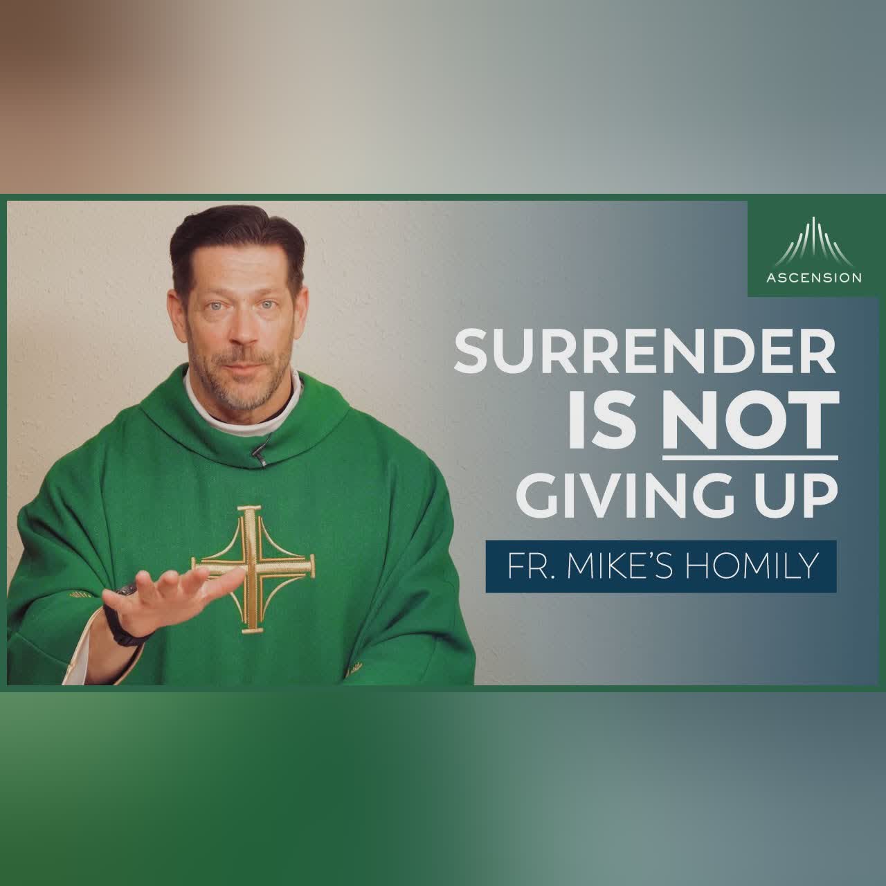 "Move On: Five Words" | Divine Mercy Sunday (Fr. Mike's Homily) #sundayhomily