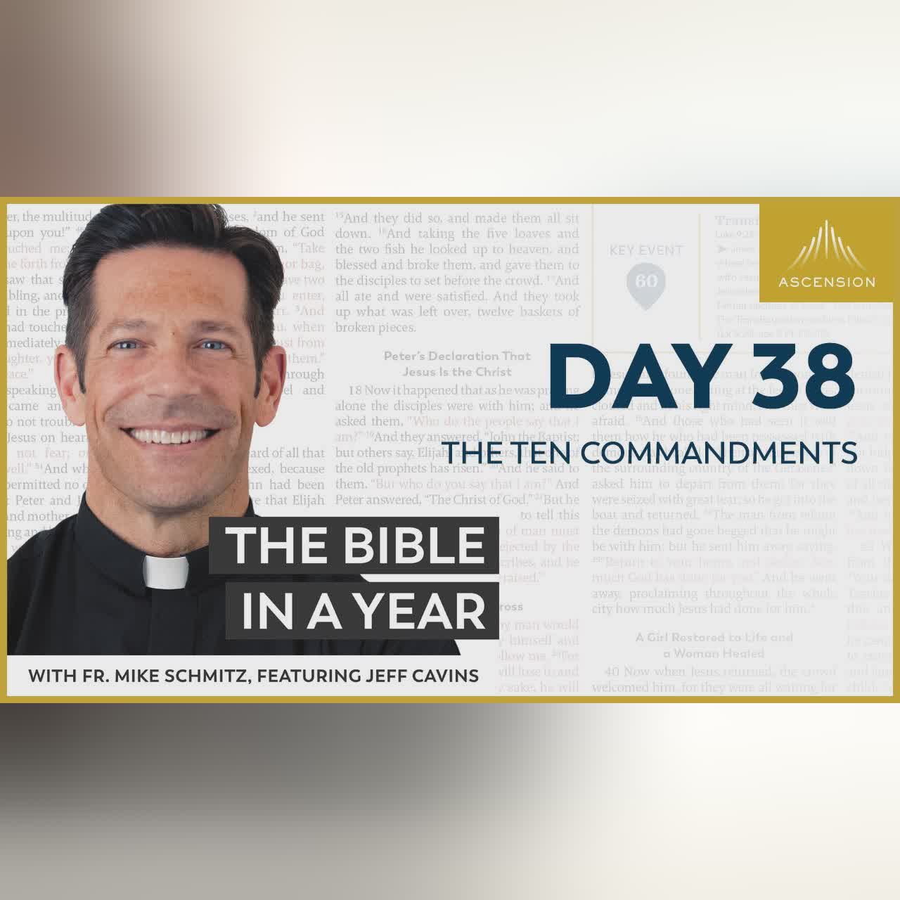 Day 5: Tower of Babel — The Bible in a Year (with Fr. Mike Schmitz)