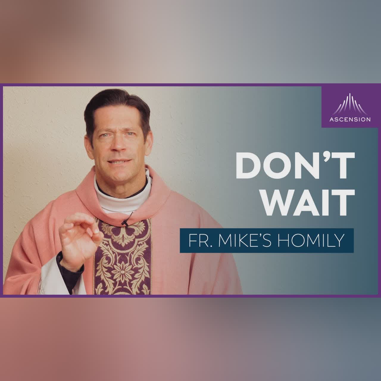 "In The Light" | 33rd Sunday in Ordinary Time (Fr. Mike's Homily) #sundayhomily
