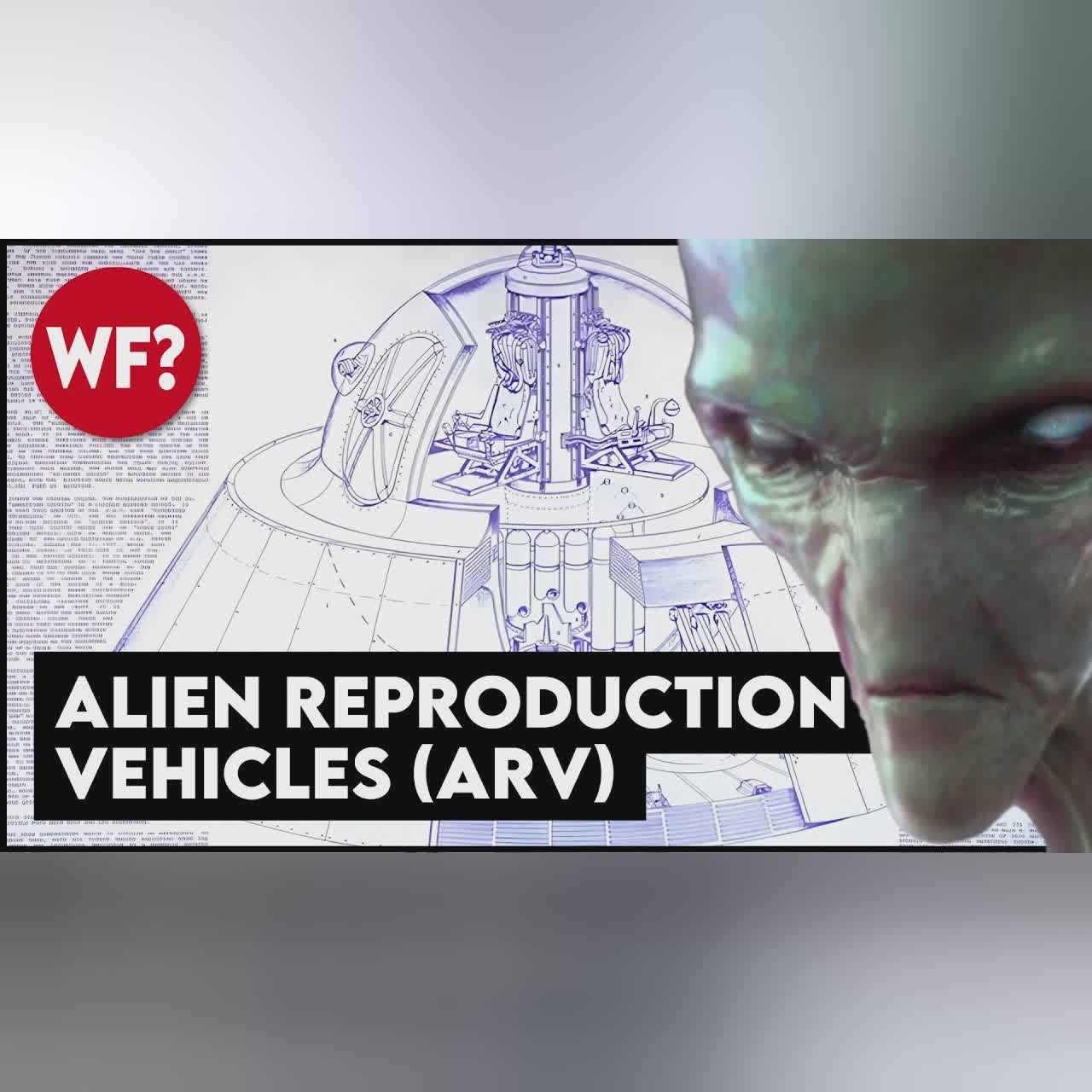 Compilation: Weird & Bizarre stories!
