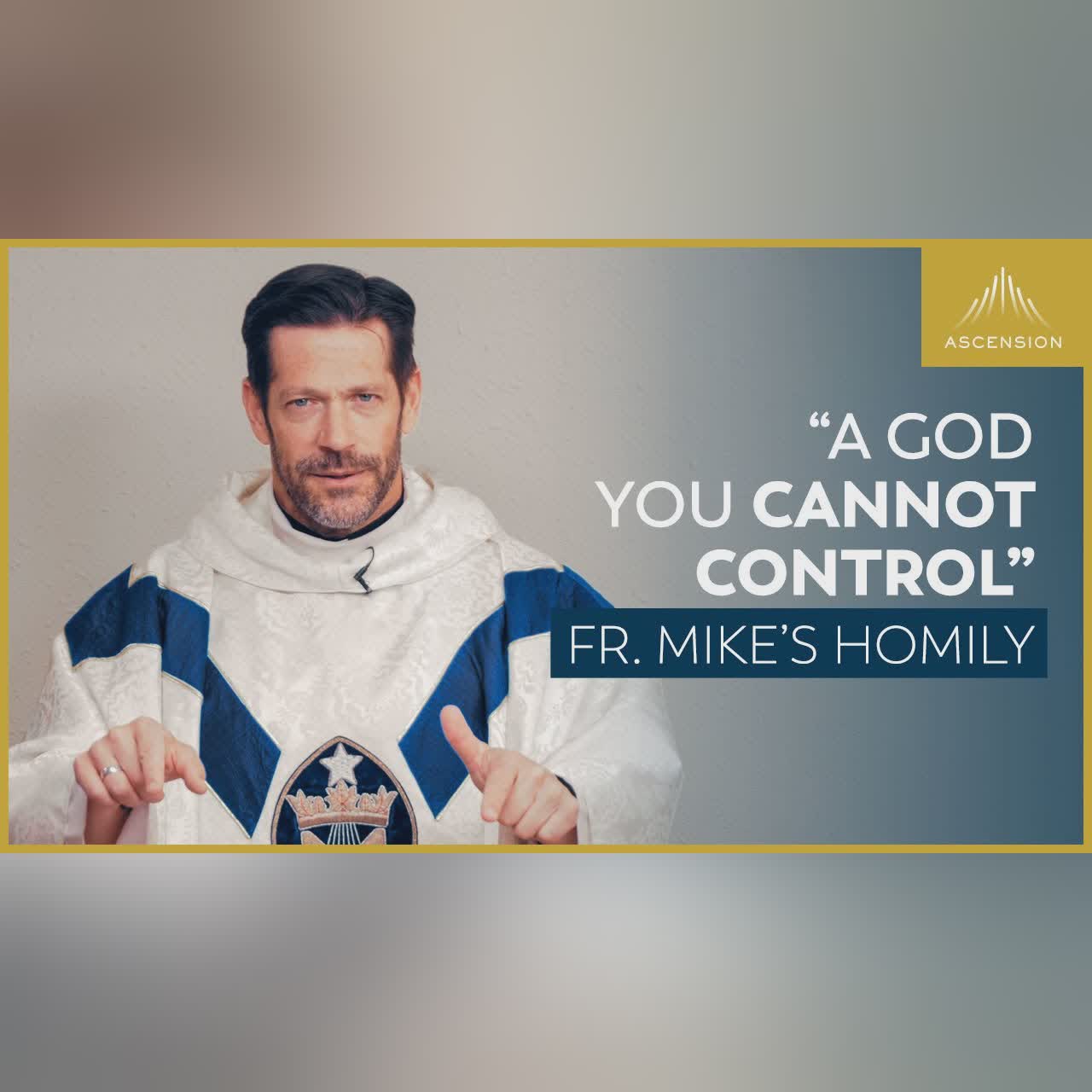"Kingdom Sacrifice" | 32nd Sunday in Ordinary Time (Fr. Mike's Homily) #sundayhomily
