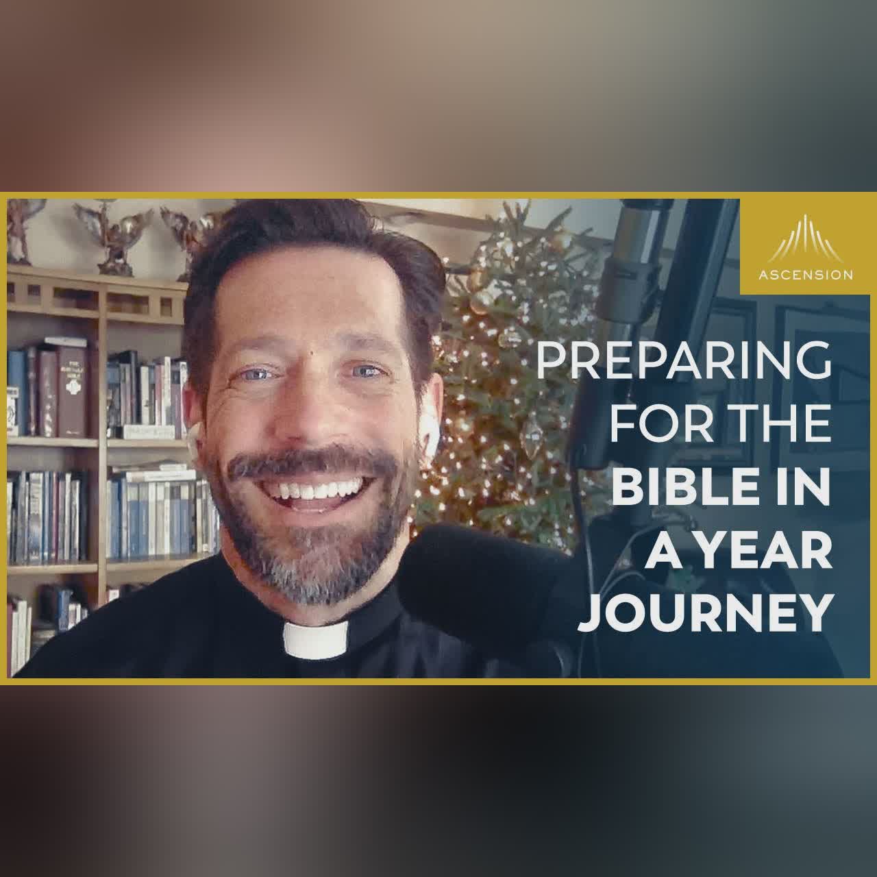 Day 16: The Suffering of Job — The Bible in a Year (with Fr. Mike Schmitz)
