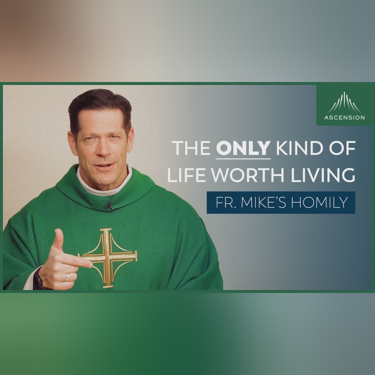 "Two Mule Loads" | 28th Sunday in Ordinary Time (Fr. Mike's Homily) #sundayhomily