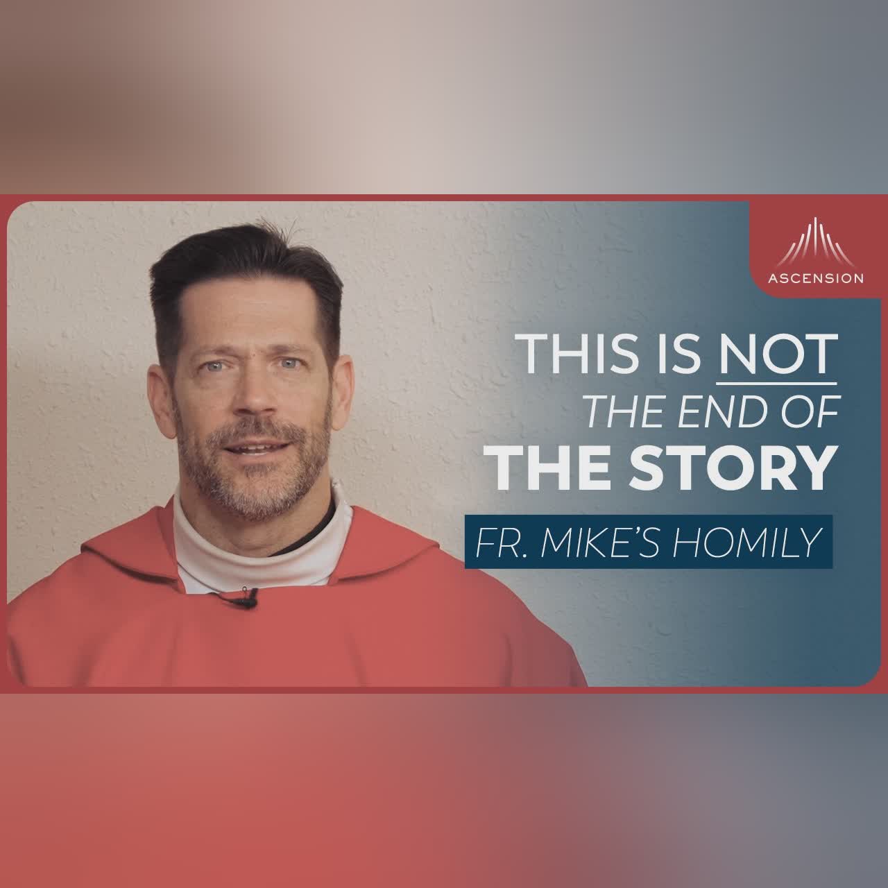 "Main Character: No Small Parts" | The Fourth Sunday of Advent (Fr. Mike's Homily) #sundaymass