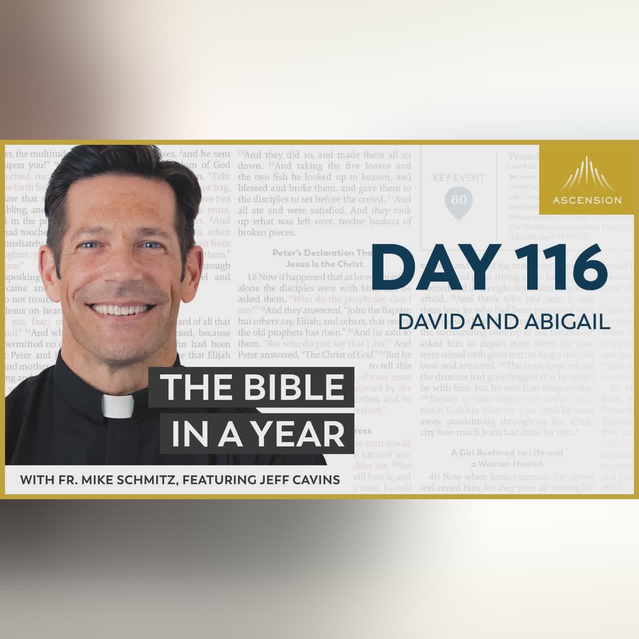 Day 120: David Mourns Saul — The Bible in a Year (with Fr. Mike Schmitz)