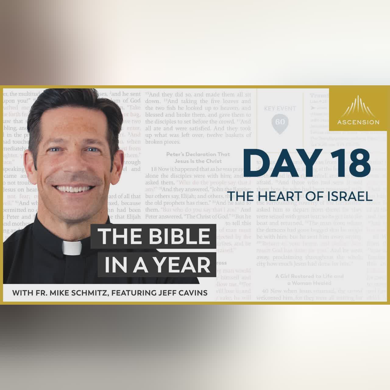 Day 40: Laws of Justice — The Bible in a Year (with Fr. Mike Schmitz)