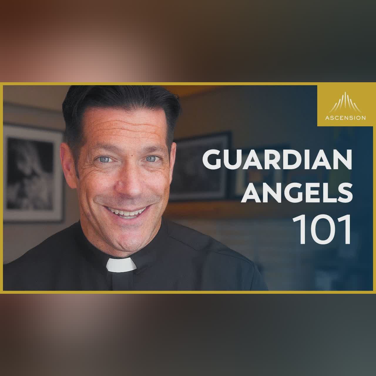 How Do People Become Saints? (Fr. Mike Explains the Canonization Process)