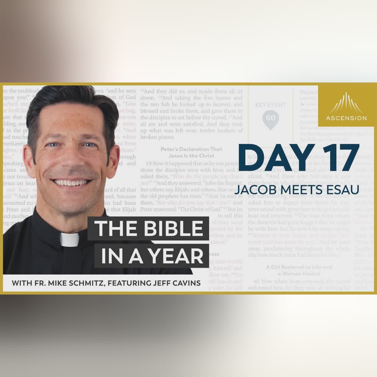 Day 38: The Ten Commandments — The Bible in a Year (with Fr. Mike Schmitz)