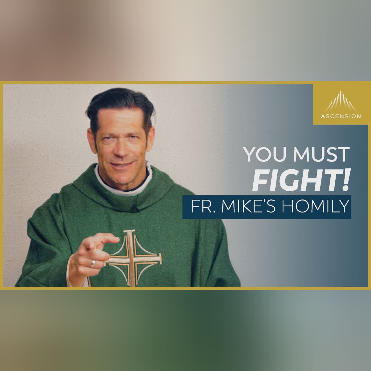 "Made for Worship: On the Field" | 33rd Sunday in Ordinary Time (Fr. Mike's Homily) #sundayhomily